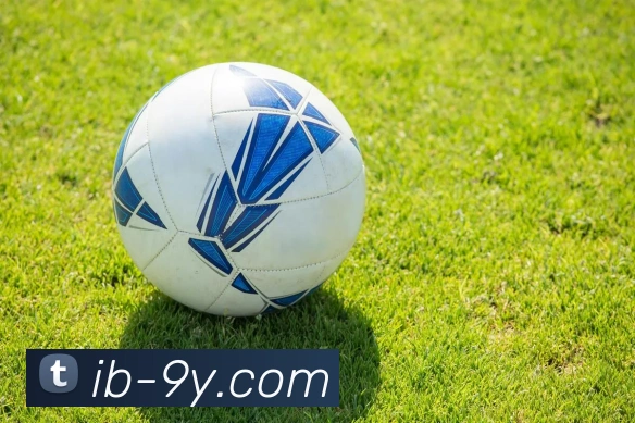 九游官网平台生态图