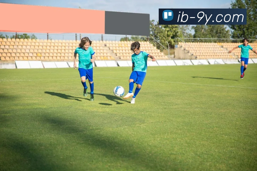 九游官网APP 封面图